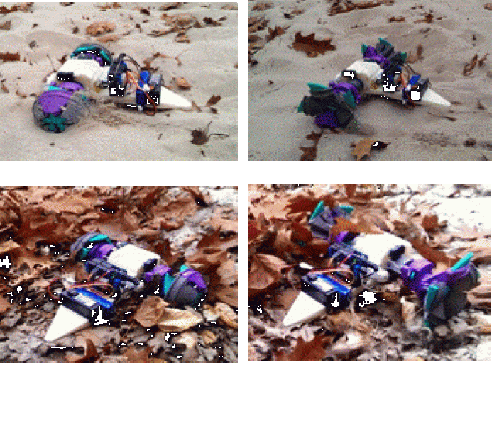 Transformable wheel robot