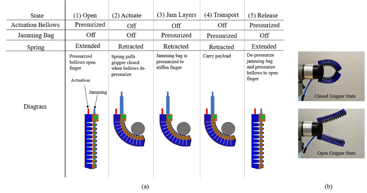 Five-state functional cycle of the gripper